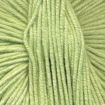 BabyBamboo - 133 Willow.jpg